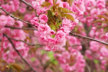 南通如皋6线下个人借款平台一站式服务，轻松解决资金难题