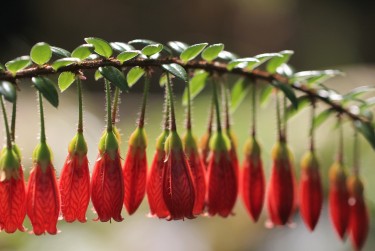 南通如皋6零用贷短借：轻松解决临时资金需求