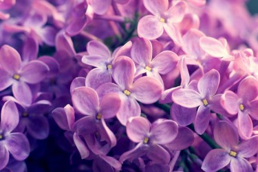 南通如皋6企业急用钱贷款攻略：快速融资解燃眉之急